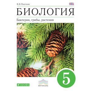 Сказки для 5 класса - читать бесплатно онлайн