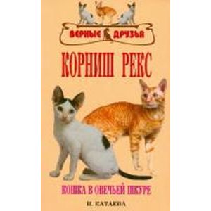 Корниш рекс. Кошка в овечьей шкуре