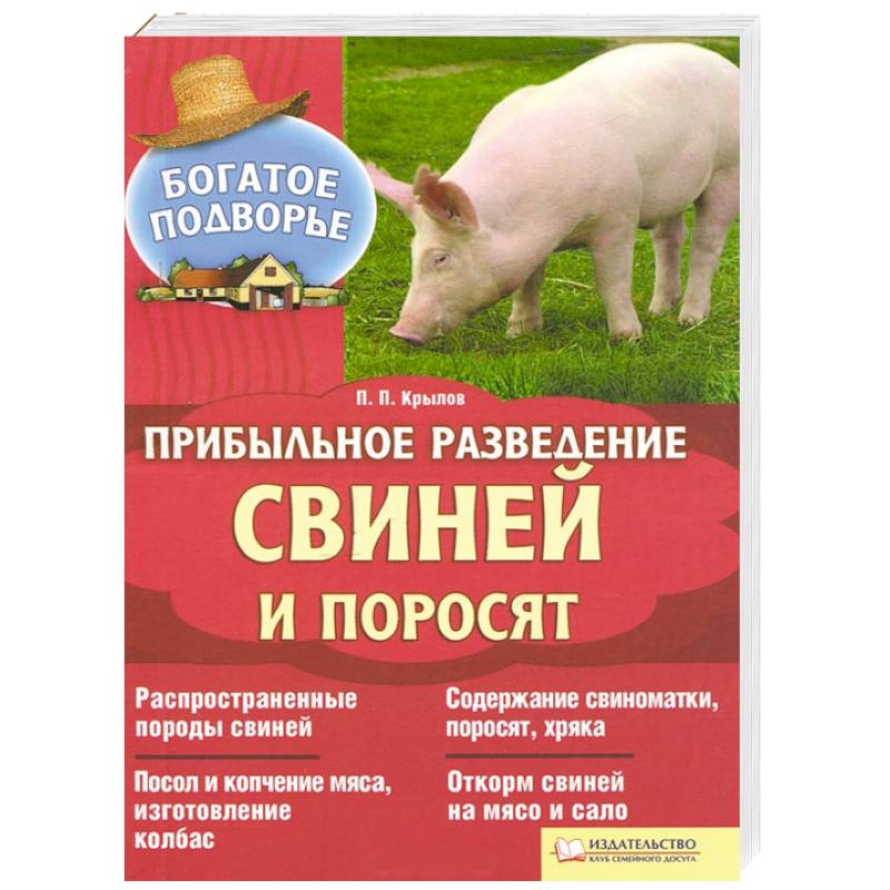 Содержание свиней в домашних условиях: основные правила по уходу и питанию свиней