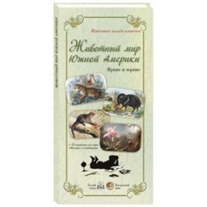 Животный мир Южной Америки. Яркие и юркие + 72 карточки для игры 'Мемори' и викторины