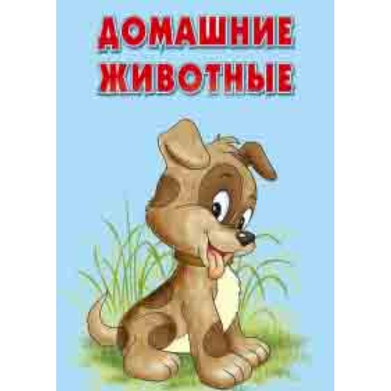 Карточки. Домашние животные. Интересные факты