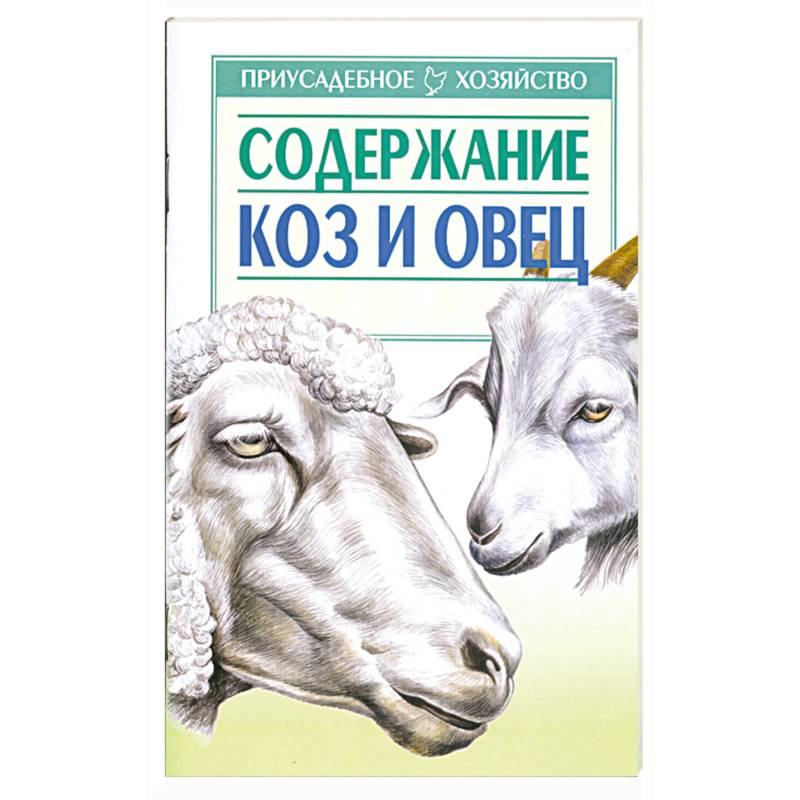 Содержание коз и овец