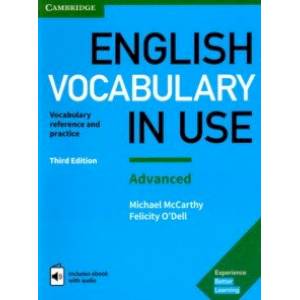 English Vocabulary in Use: Advanced