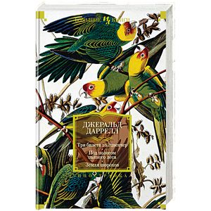 Три билета до Эдвенчер. Под пологом пьяного леса. Земля шорохов