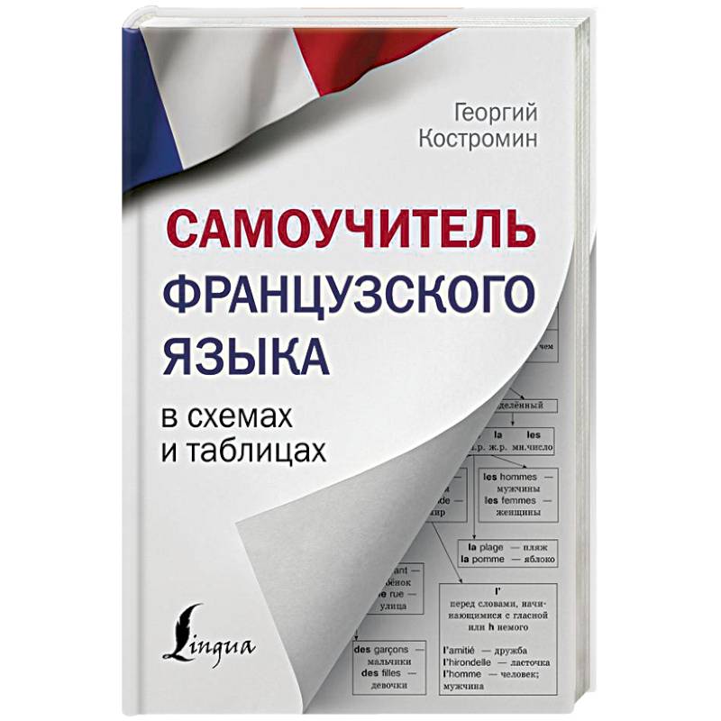 Самоучитель французского языка в схемах и таблицах
