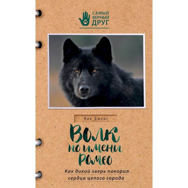 Волк по имени Ромео. Как дикий зверь покорил сердца целого города