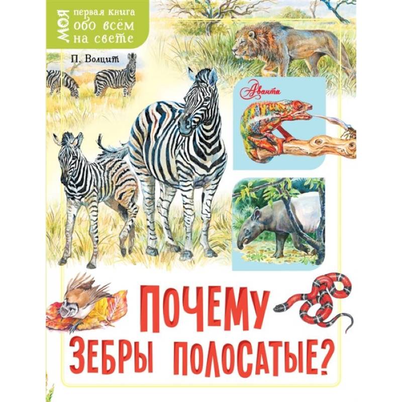 Почему зебры полосатые?