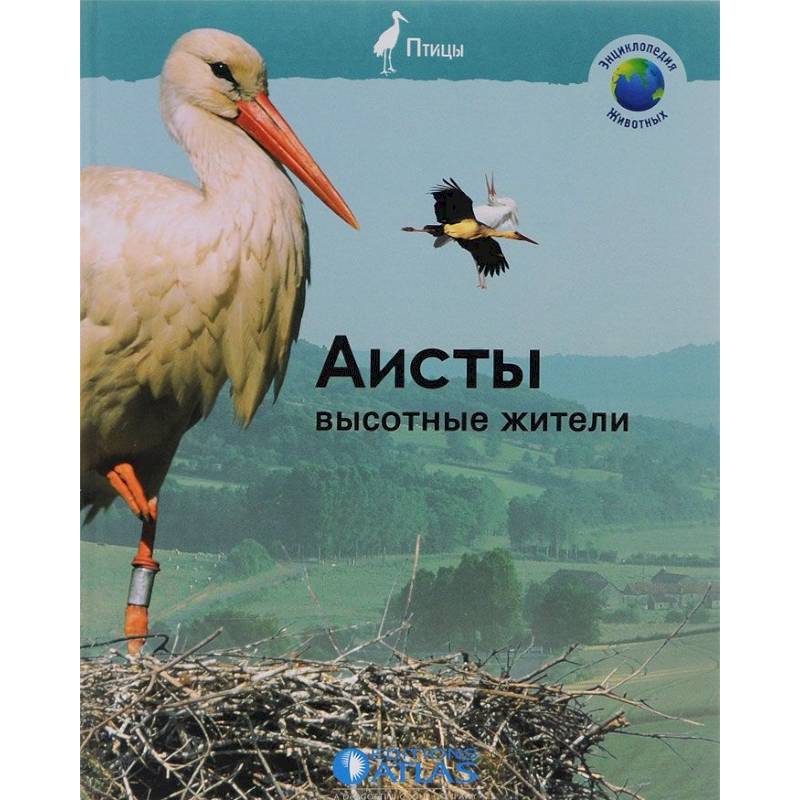 Гнездо из веток - пошаговые инструкции и примеры изготовления декоративных элементов своими руками