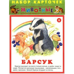 Животные (набор из 22 карточек)