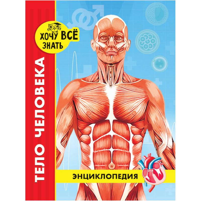 Хочу все знать. Тело человека