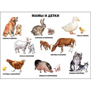 Мамы и детки. Плакат.