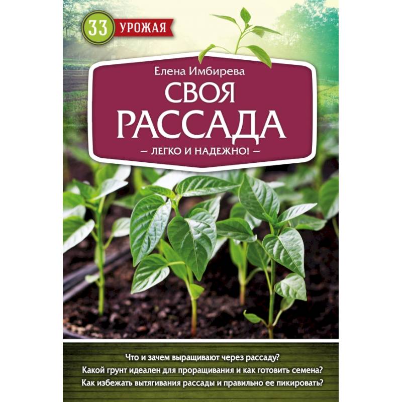 Своя рассада. Легко и надежно