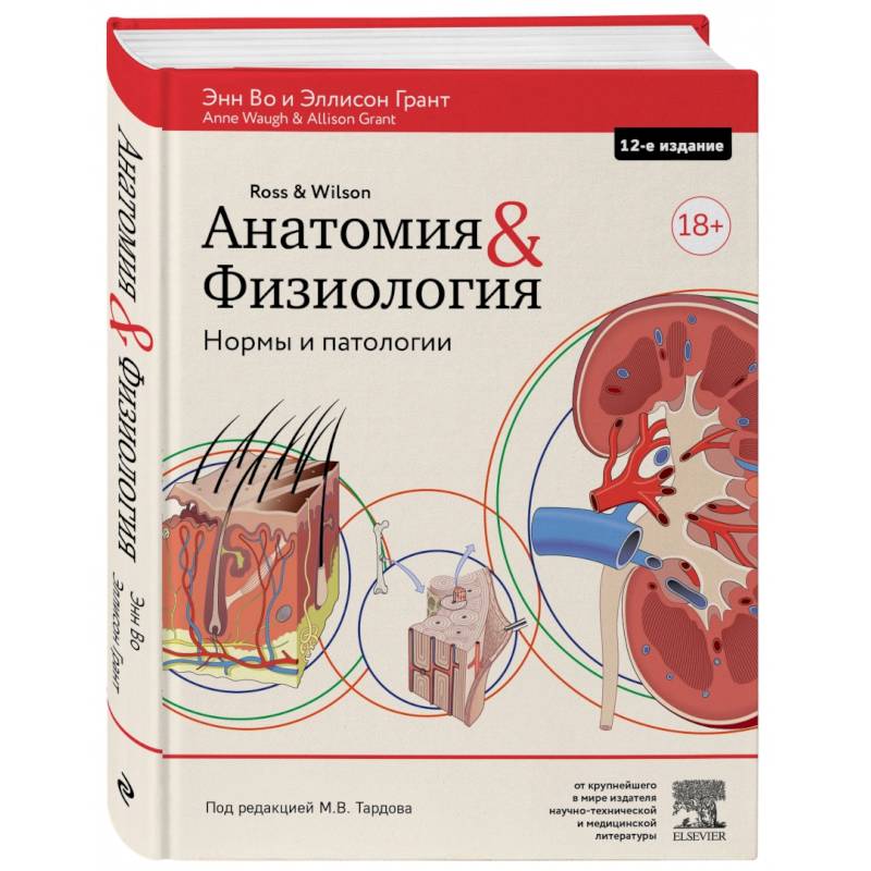 Котов А., Лосева Т. (ред.): Физиология и основы анатомии. Учебник