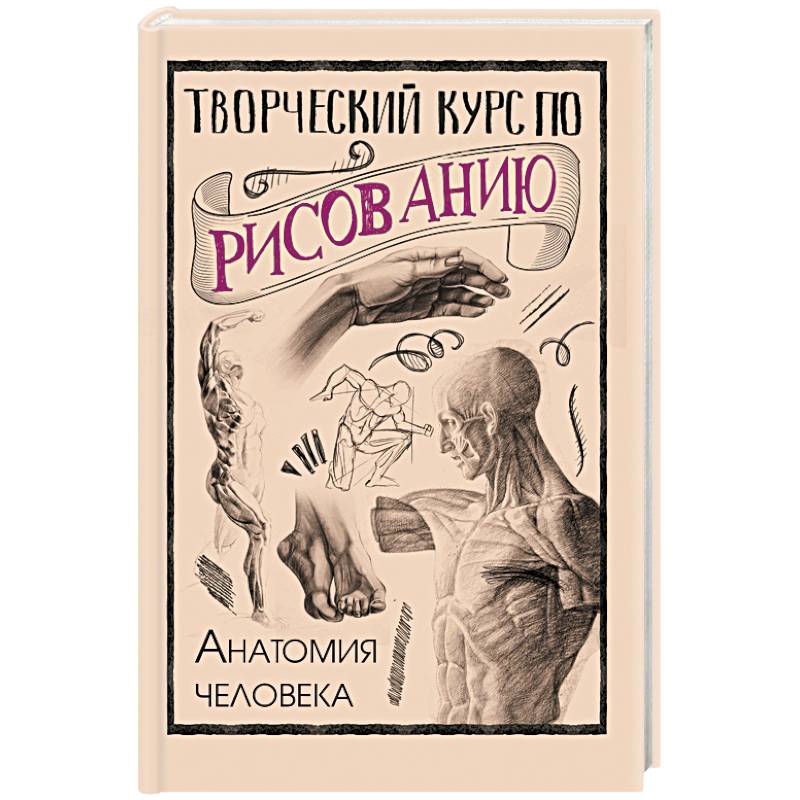 Творческий курс по рисованию. Анатомия человека