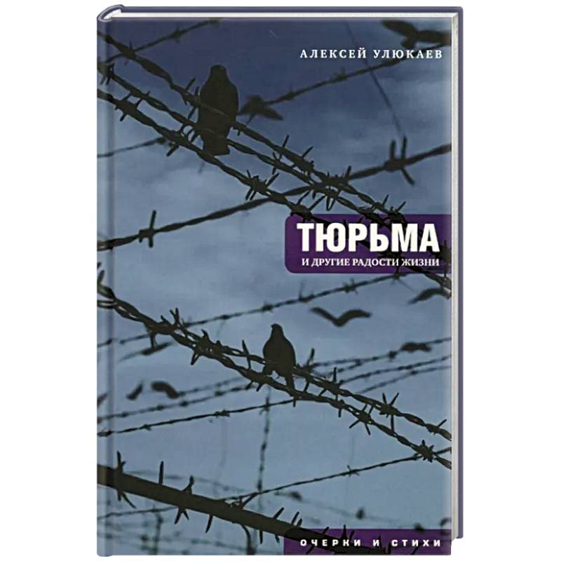 Тюрьма и другие радости жизни: очерки и стихи