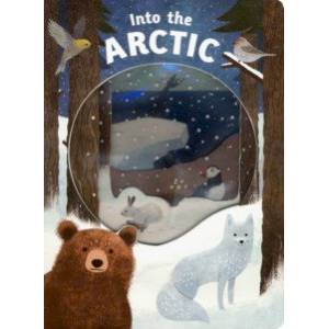 Look Closer Into the Arctic