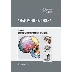 Анатомия человека