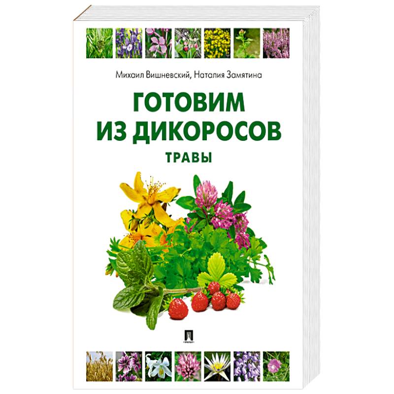 Готовим из дикоросов. Травы