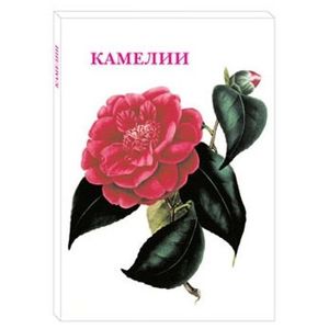 Камелии