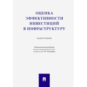 Оценка эффективности инвестиций в инфраструктуру. Монография