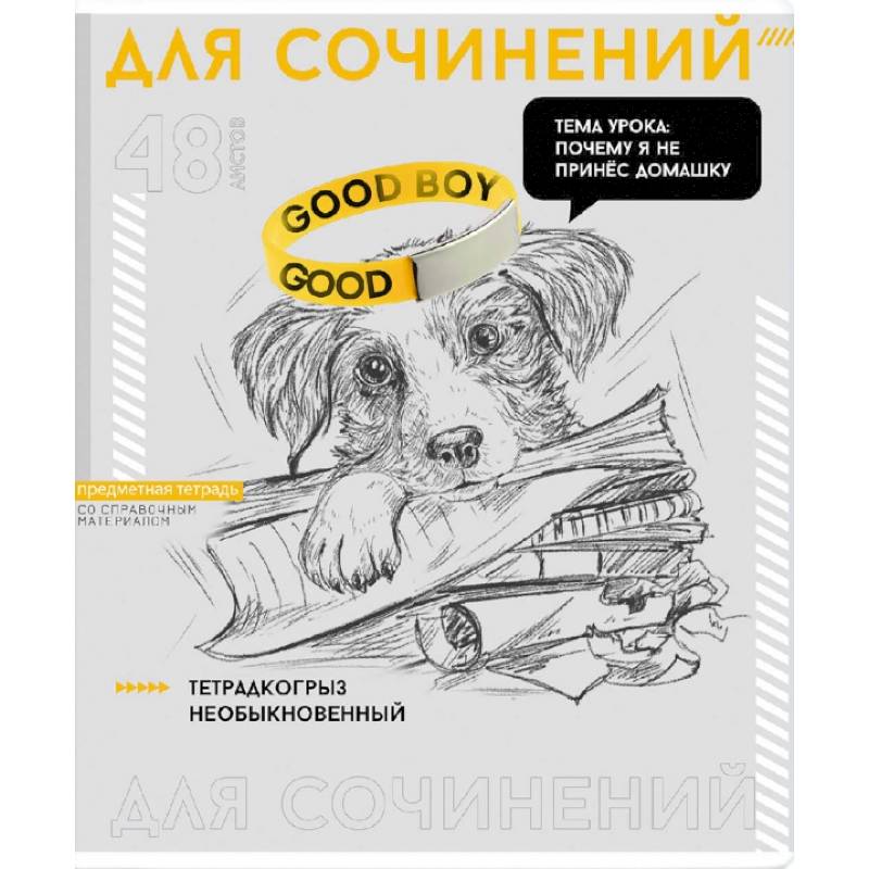 Тетрадь предметная Яркие детали. Для сочинений, 48 листов, линия