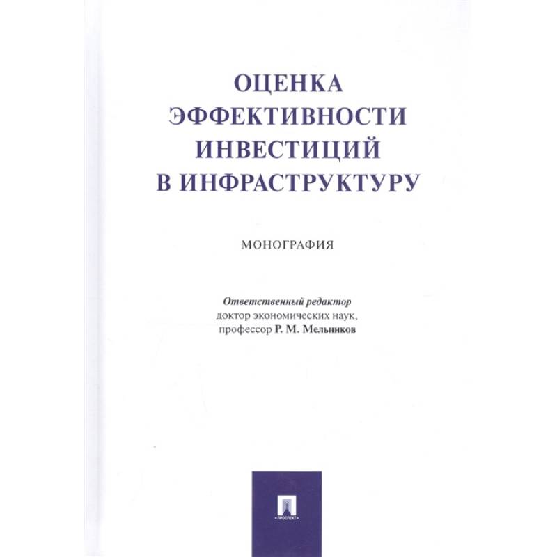 Оценка эффективности инвестиций в инфраструктуру. Монография