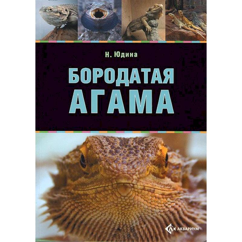 Бородатая агама