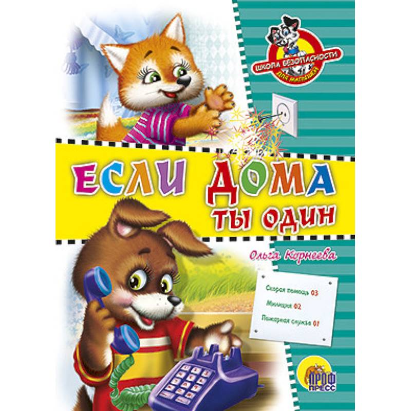 Школа безопасности. Если дома ты один