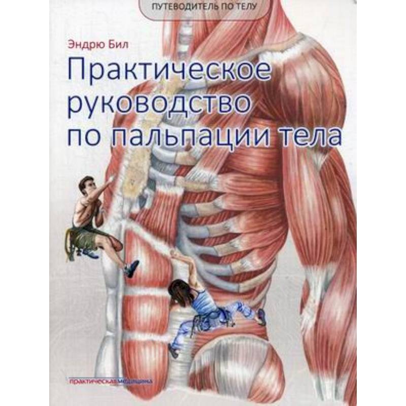 Практический организм. Практическое руководство по пальпации тела. Практическое руководство по пальпации тела Эндрю бил. Путеводитель по телу. Путеводитель по телу. Клинический атлас триггерных точек | бил Эндрю.