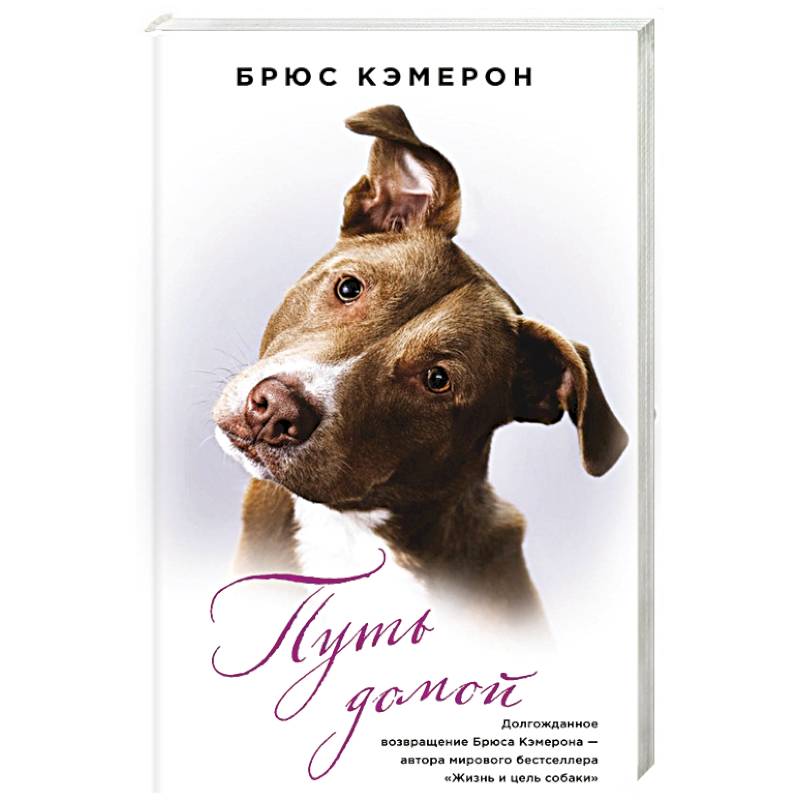 Дорога Домой Купить Книгу