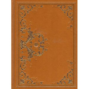 Золотой браслет. Охотники на медведя