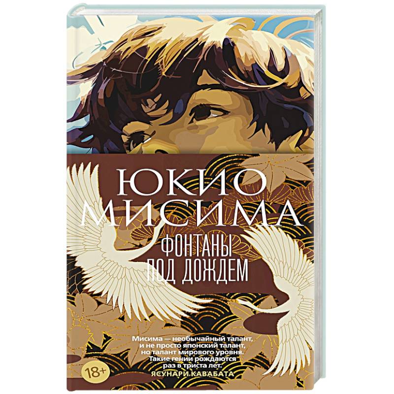 Фонтаны под дождем