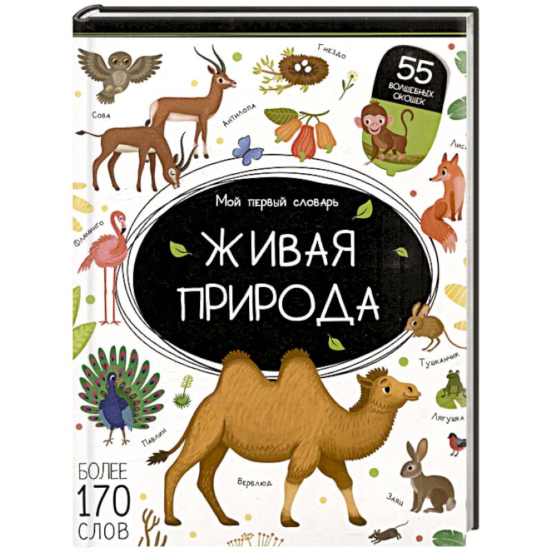 Мой первый словарь. Живая природа