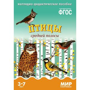 Птицы средней полосы. Наглядно-дидактическое пособие. Для детей 3-7 лет (набор карточек)