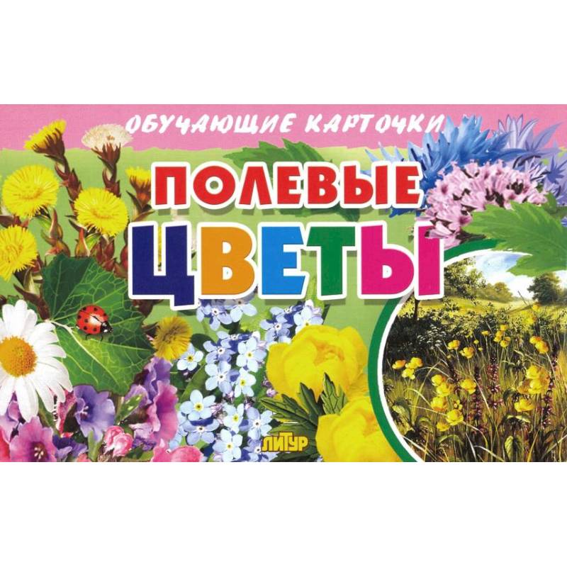 Полевые Цветы Купить