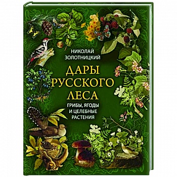 Дары русского леса. Грибы, ягоды и целит.растения