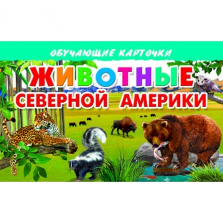 Книги, книга Карточки. Животные Северной Америки купить по скидке