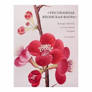 Рисованная Японская Флора доктора Зибольда и ее 200-летняя история
