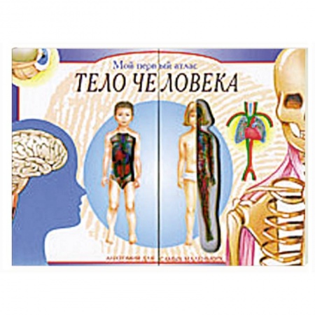 Книги, книга Мой первый атлас: Тело человека. Анатомия для самых маленьких купить по скидке