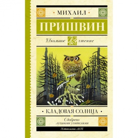 Классическая художественная проза, книга Кладовая солнца купить по скидке