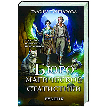 Бюро магической статистики. Рудник (Бюро магической статистики #1)