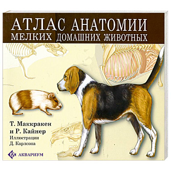 Атлас анатомии мелких домашних животных