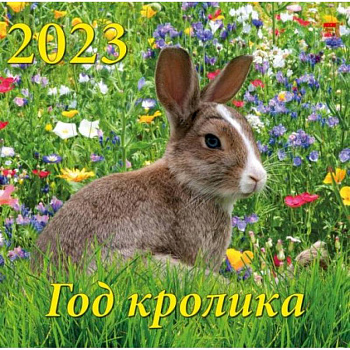 Календарь Год кролика, на 2023 год