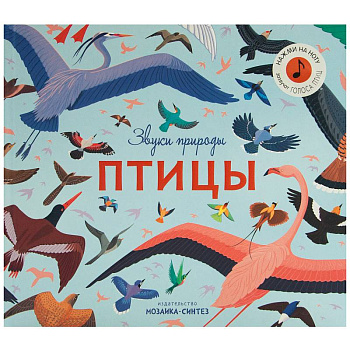 Звуки природы.Птицы