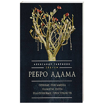 Ребро Адама. Пряные письмена памяти пяти Платоновых пространств