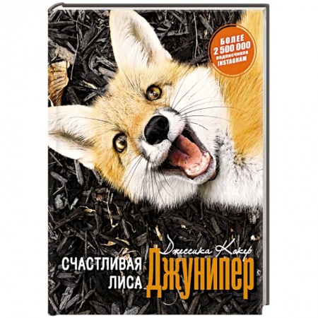 Зарубежная современная проза, книга Счастливая лиса Джунипер купить по скидке