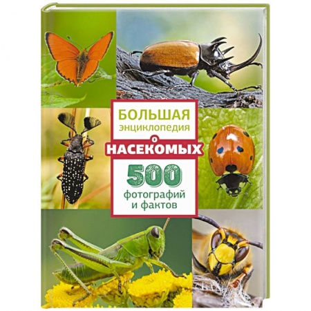 Животный и растительный мир, книга Большая энциклопедия о насекомых. 500 фотографий и фактов купить по скидке