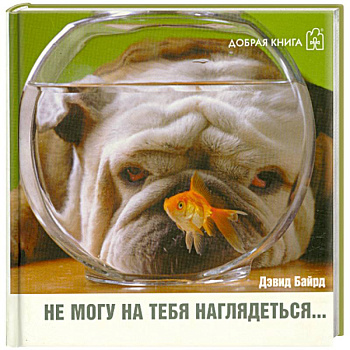 Не могу на тебя наглядеться…