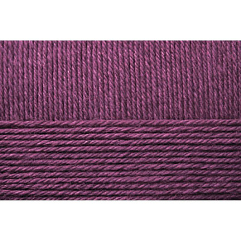Носочная пряжа. Цвет 191-Ежевика. 10x100 г.