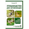 Птицы Птицы